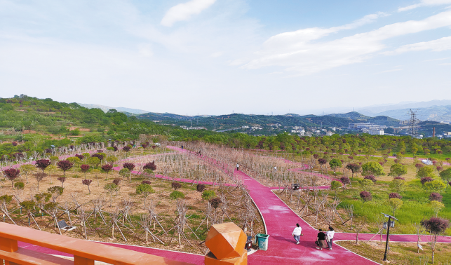 用心守護，只為綠滿青山