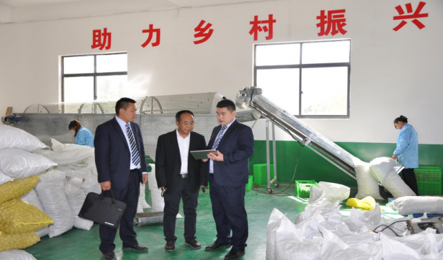 ?郵儲銀行商洛市分行：金融活水澆灌特色產(chǎn)業(yè) 譜寫鄉(xiāng)村振興新篇章